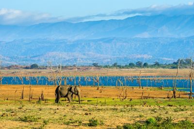 Ms Susan Richards Cycling on the  tour with redspokes